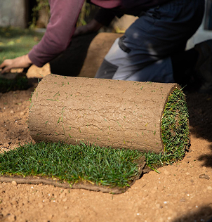 Cum Tehnologia Zenium Regenerează Gazonul într-un Ecosistem Sustenabil